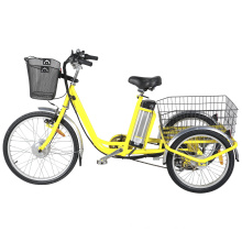 Lithium Battery Powered Pedal Assist Electric Cargo Trike for Sale